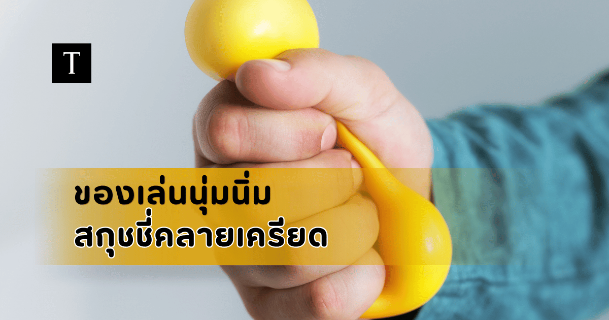 รีวิวของเล่นนุ่มนิ่ม สกุชชี่คือะไร